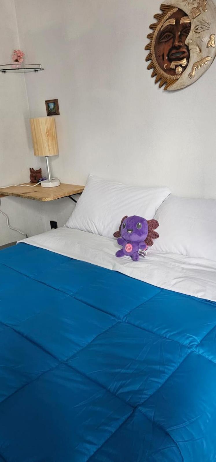 Casa Amarilla Tecamac 호텔 Santa Cruz Tecamac 외부 사진